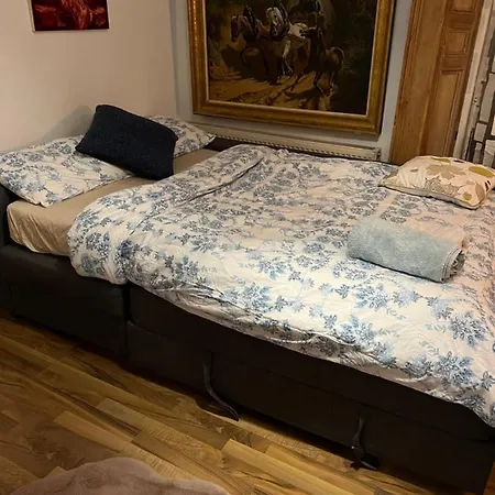 House Homestay Dublin